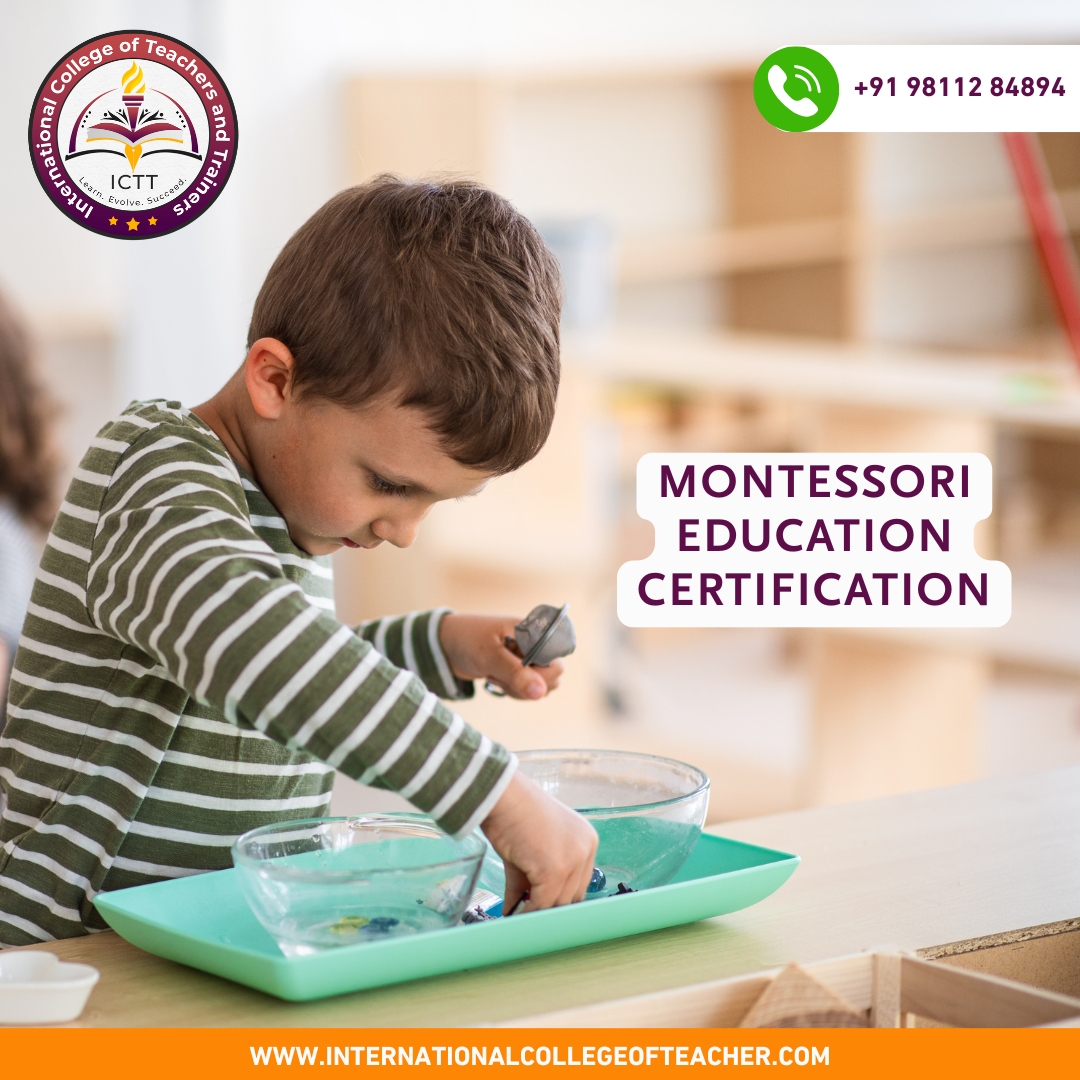 Montessori Education Certification: The Key to a Rewarding Career in ...
